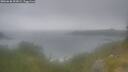./images/calvert/foggy-cove/20260630/foggy-cove20260630_053002M.jpg