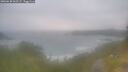./images/calvert/foggy-cove/20260630/foggy-cove20260630_062501M.jpg