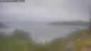 ./images/calvert/foggy-cove/20260630/foggy-cove20260630_070501M.jpg