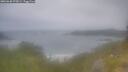 ./images/calvert/foggy-cove/20260630/foggy-cove20260630_072001M.jpg