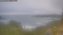 ./images/calvert/foggy-cove/20260630/foggy-cove20260630_073001M.jpg