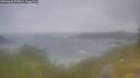 ./images/calvert/foggy-cove/20260630/foggy-cove20260630_075001M.jpg