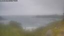 ./images/calvert/foggy-cove/20260630/foggy-cove20260630_075501M.jpg