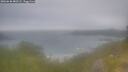 ./images/calvert/foggy-cove/20260630/foggy-cove20260630_080501M.jpg
