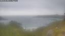 ./images/calvert/foggy-cove/20260630/foggy-cove20260630_082001M.jpg