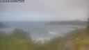 ./images/calvert/foggy-cove/20260630/foggy-cove20260630_084501M.jpg