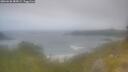 ./images/calvert/foggy-cove/20260630/foggy-cove20260630_085001M.jpg