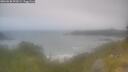 ./images/calvert/foggy-cove/20260630/foggy-cove20260630_091001M.jpg