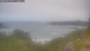 ./images/calvert/foggy-cove/20260630/foggy-cove20260630_091501M.jpg