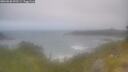 ./images/calvert/foggy-cove/20260630/foggy-cove20260630_092501M.jpg