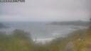 ./images/calvert/foggy-cove/20260630/foggy-cove20260630_094001M.jpg
