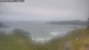 ./images/calvert/foggy-cove/20260630/foggy-cove20260630_094501M.jpg