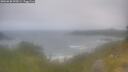 ./images/calvert/foggy-cove/20260630/foggy-cove20260630_095001M.jpg