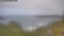 ./images/calvert/foggy-cove/20260630/foggy-cove20260630_100501M.jpg
