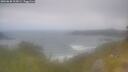 ./images/calvert/foggy-cove/20260630/foggy-cove20260630_102001M.jpg