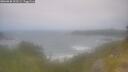 ./images/calvert/foggy-cove/20260630/foggy-cove20260630_102501M.jpg