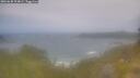 ./images/calvert/foggy-cove/20260630/foggy-cove20260630_104001M.jpg