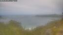 ./images/calvert/foggy-cove/20260630/foggy-cove20260630_105501M.jpg