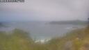 ./images/calvert/foggy-cove/20260630/foggy-cove20260630_111501M.jpg