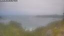 ./images/calvert/foggy-cove/20260630/foggy-cove20260630_112502M.jpg