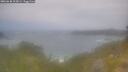 ./images/calvert/foggy-cove/20260630/foggy-cove20260630_115001M.jpg