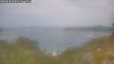 ./images/calvert/foggy-cove/20260630/foggy-cove20260630_121002M.jpg