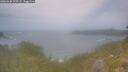 ./images/calvert/foggy-cove/20260630/foggy-cove20260630_125501M.jpg