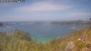 ./images/calvert/foggy-cove/20260630/foggy-cove20260630_145501M.jpg