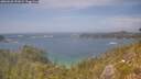 ./images/calvert/foggy-cove/20260630/foggy-cove20260630_151002M.jpg