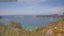 ./images/calvert/foggy-cove/20260630/foggy-cove20260630_151501M.jpg