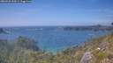 ./images/calvert/foggy-cove/20260630/foggy-cove20260630_154501M.jpg