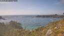 ./images/calvert/foggy-cove/20260630/foggy-cove20260630_165502M.jpg