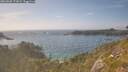 ./images/calvert/foggy-cove/20260630/foggy-cove20260630_172002M.jpg
