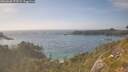./images/calvert/foggy-cove/20260630/foggy-cove20260630_173501M.jpg