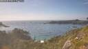./images/calvert/foggy-cove/20260630/foggy-cove20260630_174501M.jpg