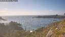 ./images/calvert/foggy-cove/20260630/foggy-cove20260630_181001M.jpg