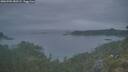 ./images/calvert/foggy-cove/20260701/foggy-cove20260701_050501M.jpg