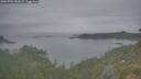 ./images/calvert/foggy-cove/20260701/foggy-cove20260701_052001M.jpg