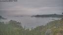 ./images/calvert/foggy-cove/20260701/foggy-cove20260701_052501M.jpg