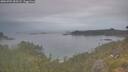 ./images/calvert/foggy-cove/20260701/foggy-cove20260701_053501M.jpg