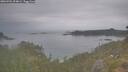 ./images/calvert/foggy-cove/20260701/foggy-cove20260701_054001M.jpg