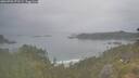 ./images/calvert/foggy-cove/20260701/foggy-cove20260701_071501M.jpg