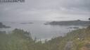 ./images/calvert/foggy-cove/20260701/foggy-cove20260701_073501M.jpg