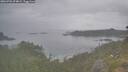 ./images/calvert/foggy-cove/20260701/foggy-cove20260701_074001M.jpg