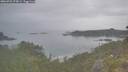 ./images/calvert/foggy-cove/20260701/foggy-cove20260701_075001M.jpg