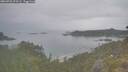 ./images/calvert/foggy-cove/20260701/foggy-cove20260701_075502M.jpg