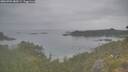 ./images/calvert/foggy-cove/20260701/foggy-cove20260701_080501M.jpg