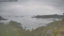 ./images/calvert/foggy-cove/20260701/foggy-cove20260701_081501M.jpg