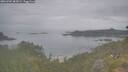 ./images/calvert/foggy-cove/20260701/foggy-cove20260701_083001M.jpg