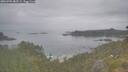 ./images/calvert/foggy-cove/20260701/foggy-cove20260701_083501M.jpg